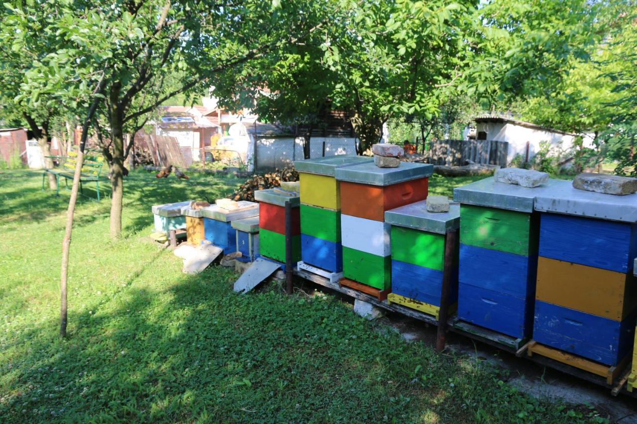 Apartman Rudnik เวิร์ดนิค ภายนอก รูปภาพ